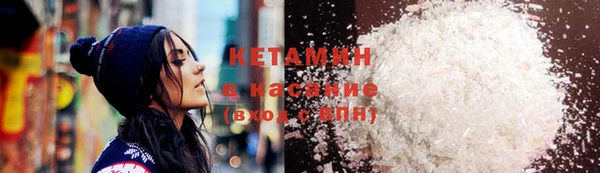 крисы Алзамай