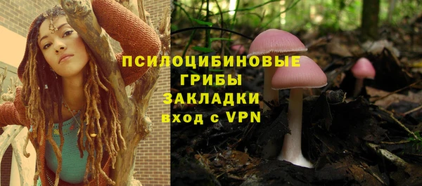 ALPHA PVP Алексин