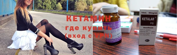 крисы Алзамай