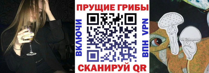 Псилоцибиновые грибы мухоморы  мориарти официальный сайт  Зеленоградск  цена   KRAKEN ТОР 